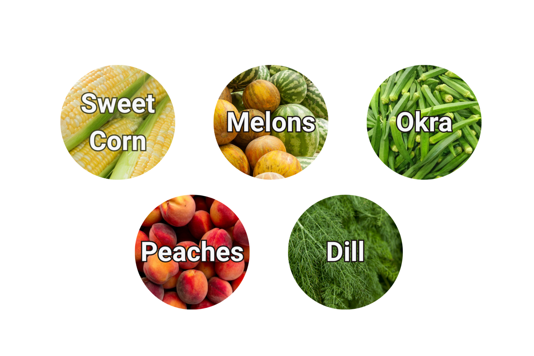 Five circular icons labeled Sweet Corn, Melons, Okra, Peaches, and Dill on a white background.