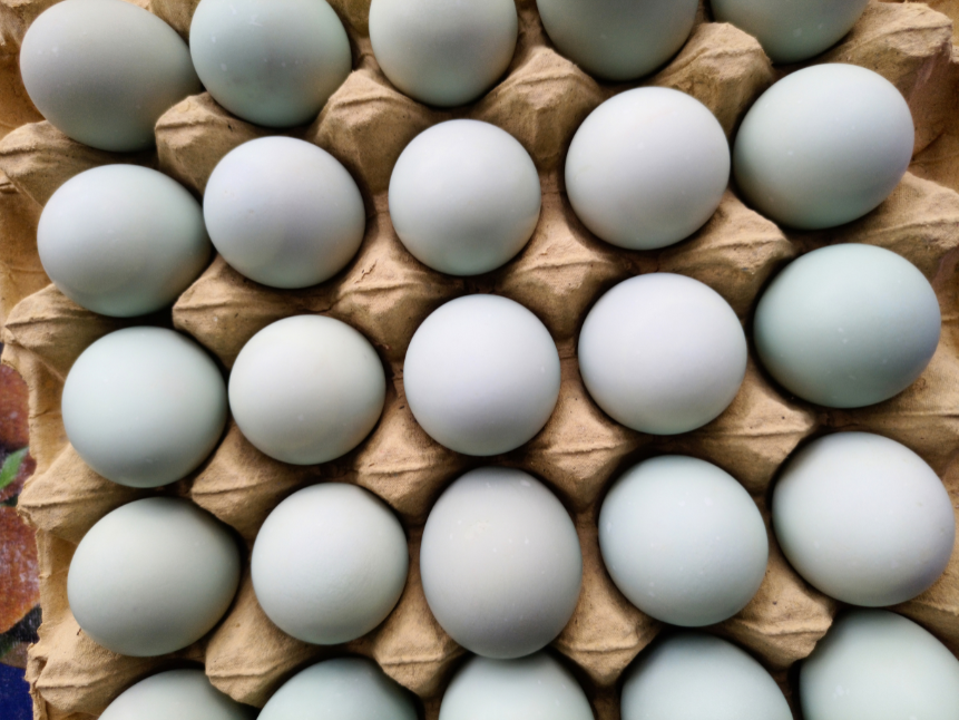 Eggs