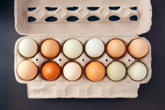 Eggs